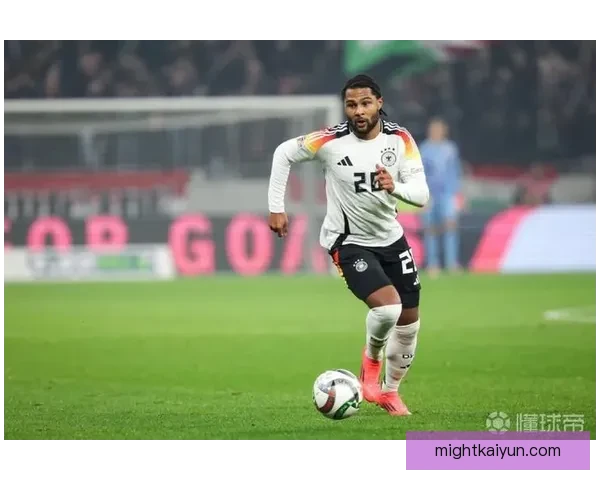 格纳布里比赛影响力